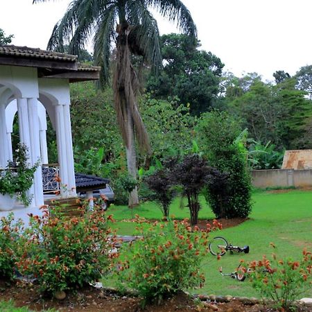 Egg Botanical View Motel Entebbe Exterior photo