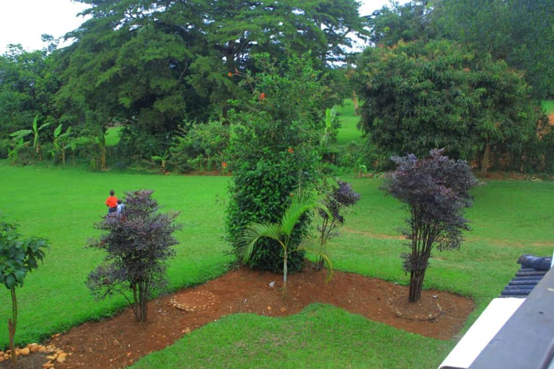 Egg Botanical View Motel Entebbe Exterior photo