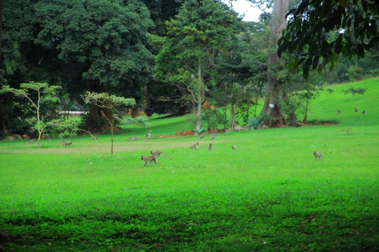 Egg Botanical View Motel Entebbe Exterior photo